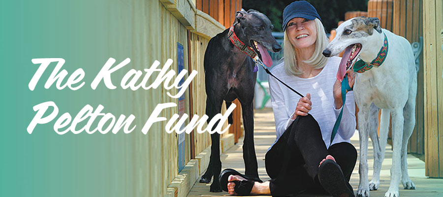 The Kathy Pelton Fund